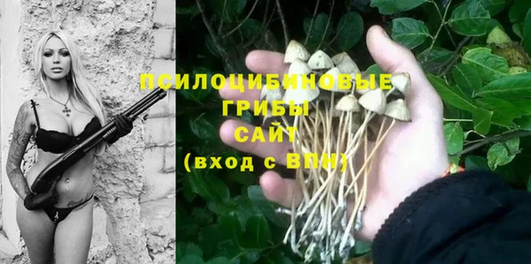 ешки Алексин